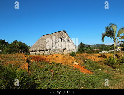 Capanna per l'asciugatura di foglie di tabacco, Vinales Valley, il parco nazionale di Vinales, Cuba Foto Stock