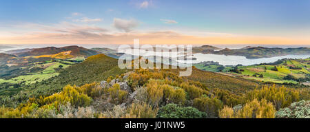 Vista dal Monte Cargill Dunedin con il porto di Otago e la penisola di Otago, Dunedin,, Otago Southland, Nuova Zelanda Foto Stock