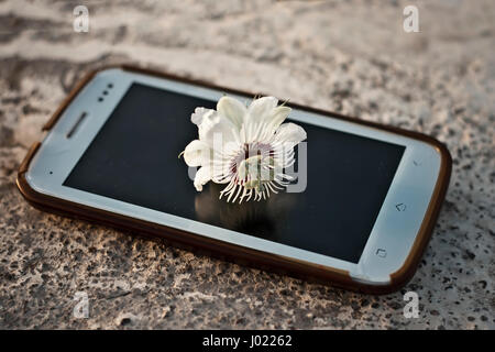 Un telefono su cui un fiore c'è. Foto Stock