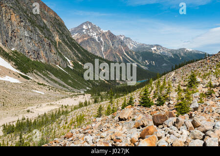 Panoramico Monte Edith Cavell, il Parco Nazionale di Jasper Alberta Canada Foto Stock