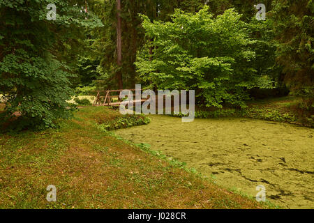 Un ponte di legno su una foresta lago nella tenuta di pushkin della madre. Il lago è in ombra. Мост деревянный через озеро в усадьбе матери пушкина. Foto Stock