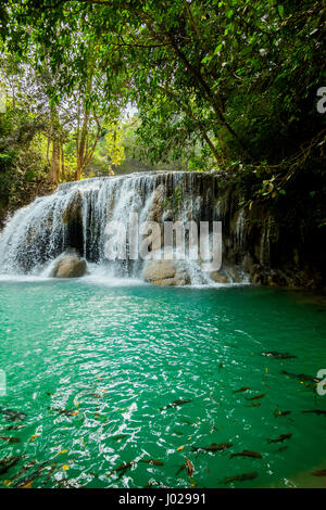 Cascata in Kanjanaburi Thailandia Foto Stock