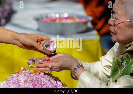 Londra, Regno Unito. 9 aprile 2017. Adoratori e visitatori di frequentare il Thai Anno Nuovo festival di Songkran presso il Tempio Buddhapadipa a Wimbledon. Tradizionalmente, l'aspersione di acqua simboleggia il dilavamento del passato, e l'acqua sarebbe stata delicatamente versato su di anziani o di immagini del Buddha. Credito: Stephen Chung / Alamy Live News Foto Stock