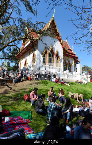 Londra, Regno Unito. 9 aprile 2017. Adoratori e visitatori di frequentare il Thai Anno Nuovo festival di Songkran presso il Tempio Buddhapadipa a Wimbledon. Tradizionalmente, l'aspersione di acqua simboleggia il dilavamento del passato, e l'acqua sarebbe stata delicatamente versato su di anziani o di immagini del Buddha. Credito: Stephen Chung / Alamy Live News Foto Stock