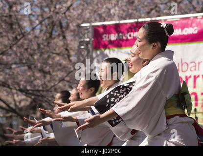 Philadelphia, Pennsylvania, USA. 9 apr, 2017. Taiko ballerine provenienti dal Tamagawa University del Giappone, effettuando al ventesimo anniversario della città di Filadelfia Sakura domenica sponsorizzato dalla Subaru di America e Giappone America Society di maggiore Philadelphia l evento è stato organizzato nello storico centro di orticoltura a ovest di Fairmount Park Credit: Ricky Fitchett/ZUMA filo/Alamy Live News Foto Stock