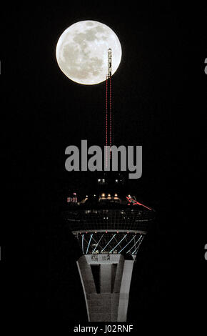 Las Vegas, Nevada, USA. Xxv Aprile, 2013. La luna piena sorge sopra il Stratosphere Tower Aprile 25, 2013 a Las Vegas, Nevada. Il 1.149 ft 350.2 (M) tower è il più alto freestanding torre di osservazione negli Stati Uniti e il secondo più alto dell'Emisfero Occidentale, superata solo dalla CN Tower a Toronto in Canada. La torre più alto a ovest del fiume Mississippi, la stratosfera inaugurato il 30 aprile 1996 ed è anche il più alto struttura in Las Vegas e nello Stato del Nevada. Credito: David Becker/ZUMA filo/Alamy Live News Foto Stock