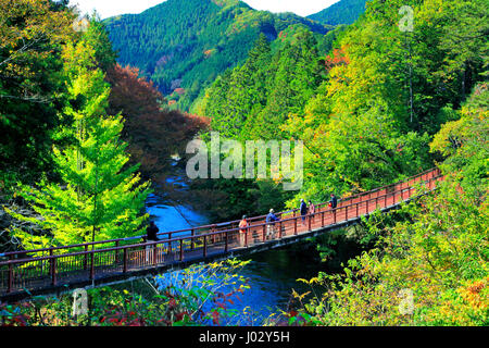 Ponte Ishibunebashi Akigawa Keikoku Valley Akiruno-shi Tokyo Giappone Foto Stock