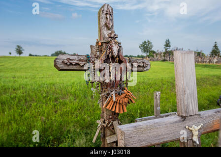 Croci di legno sul sito del pellegrinaggio chiamato Collina delle Croci, Lituania Foto Stock