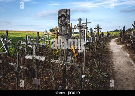 Collina delle Croci in Lituania Foto Stock