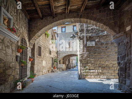 San Pellegrino quartiere medievale di Viterbo, Lazio (Italia) Foto Stock