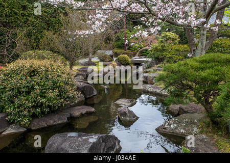 Shiosai parco giardino Giapponese con Sakura Cherry Blossoms - Shiosai Teien è un tradizionale Chisen Kaiyu Shiki giapponese passeggiando stagno giardino con teah Foto Stock