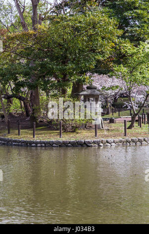 Lo stagno a Tsurugaoka Hachimangu Santuario è uno dei più famosi a Kamakura per sakura la visualizzazione. I cinque Peonia Giardino a Tsurugaoka Hachi Foto Stock