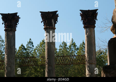 Rovine di Windsor in Mississippi - la più grande antebellum Revival Greco mansion Foto Stock