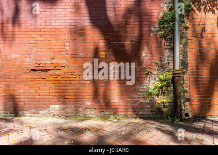 Un vecchio muro di mattoni nel quartiere del centro storico di Savannah, Georgia Foto Stock