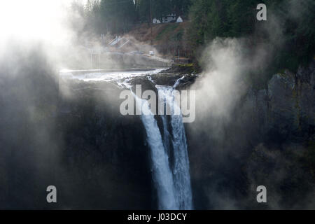 SEATTLE, NELLO STATO DI WASHINGTON, STATI UNITI - Jan 23rd, 2017: albero con la nebbia, vista panoramica di Snoqualmie cadono quando un sacco di nebbia con la luce del sole. Foto Stock