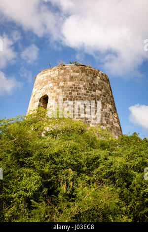 Rovine di canna da zucchero Mill, Antigua Foto Stock