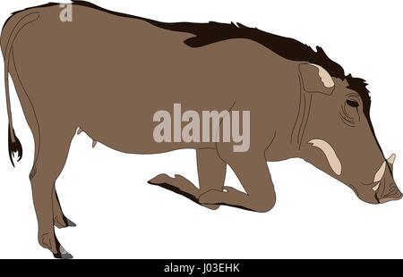 Disegnata a mano ritratto di una selvaggia warthog Illustrazione Vettoriale