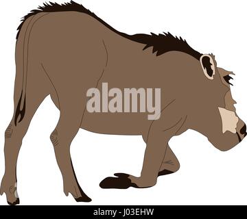 Disegnata a mano ritratto di una selvaggia warthog Illustrazione Vettoriale