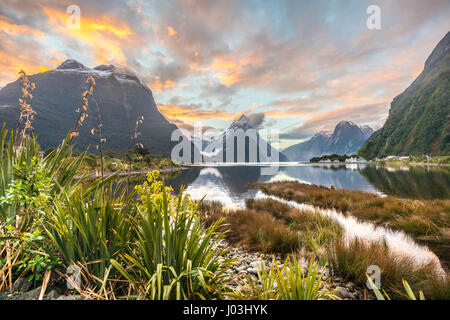 Mitre Peak, Tramonto, Milford Sound, Parco Nazionale di Fiordland, Te Anau, Regione del Southland, Southland, Nuova Zelanda, Oceania Foto Stock