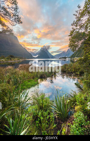 Mitre Peak, Tramonto, Milford Sound, Parco Nazionale di Fiordland, Te Anau, Regione del Southland, Southland, Nuova Zelanda, Oceania Foto Stock