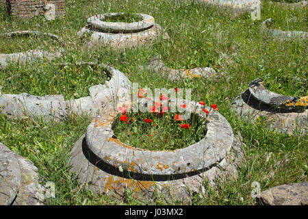 Roma. L'Italia. Ostia Antica. Caseggiato dei doli, vasetti di terracotta una volta tenuto vino & olio. Foto Stock