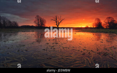 Splendido tramonto su Swamp. Colorato cloudscape sopra prati allagati. Prato allagato al mattino prima di pioggia. Bellissimo sfondo di mattina. Foto Stock