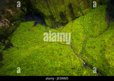 Vista aerea di getti di acqua, fiume e lussureggiante paesaggio, Kauai, STATI UNITI D'AMERICA Foto Stock