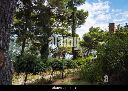 I Giardini di Augusto - i giardini botanici dell'isola di Capri, Campania, Italia Foto Stock