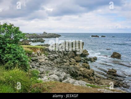 Coste rocciose a Noja Cantabria, Spagna settentrionale Foto Stock