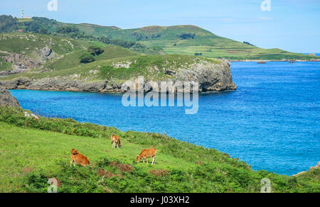 Vista panoramica vicino a Playa de Troenzo, Celorio, Asturias, Spagna settentrionale, Juyl-29-2013 Foto Stock