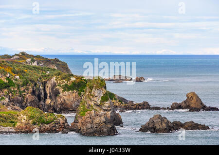 Vista costiera di Cape Foulwind sulla costa ovest della Nuova Zelanda Foto Stock