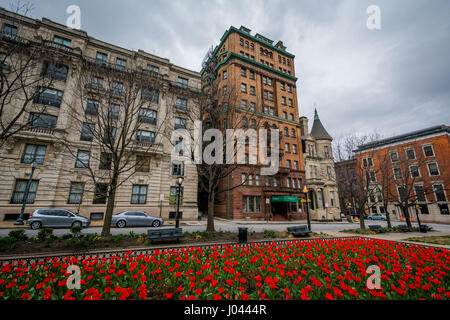 Tulipani e edifici storici lungo Charles Street a Mount Vernon, Baltimore, Maryland. Foto Stock