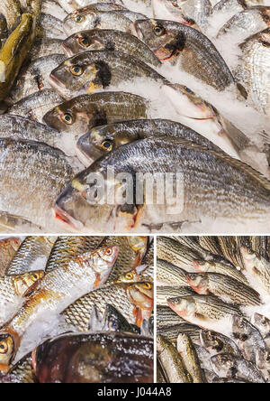 Collage di vari pesci memorizzati su ghiaccio al mercato del pesce Foto Stock