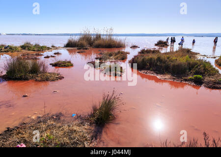 I turisti prendere bagni di fango nel lago rosa di Torrevieja, Parque Natural de las Lagunas de La Mata y Torrevieja, Spagna Foto Stock