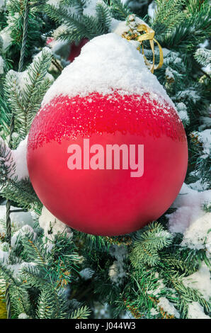 Big Red palle di Natale sulla coperta di neve ramo di abete nel parco della città Foto Stock