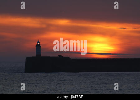 Tramonto con Newhaven faro in East Sussex. Foto Stock