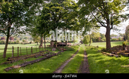 Un viale alberato in fattoria via in Edale, Derbyshire, in Inghilterra del Parco Nazionale di Peak District. Foto Stock