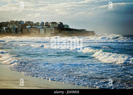 La spiaggia di Bondi, Sydney, Australia, in una bella mattina winterr con buoni surf, due surfisti solo a piedi fuori nelle onde. Foto Stock