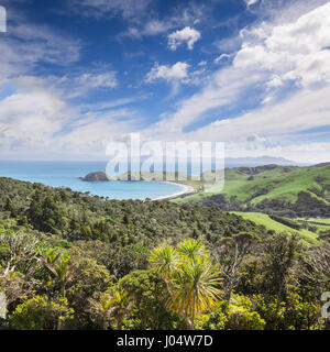 Port Jackson bay, Coromandel, Nuova Zelanda. Foto Stock