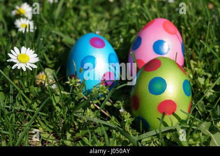 Uova di Pasqua e daisy fiori in erba prato Foto Stock