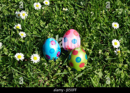 Punteggiato di uova di pasqua e daisy fiori in erba prato Foto Stock