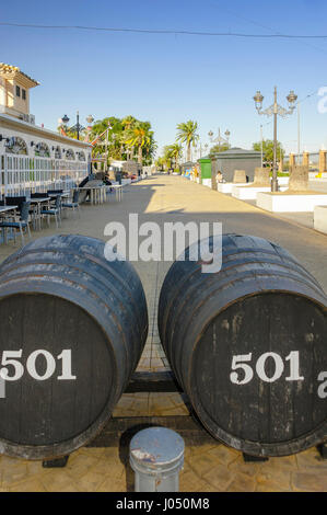 Porto di Sherry, città di El Puerto de Santa Maria, provincia di Cádiz, Spagna Foto Stock