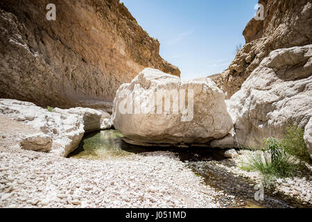 Grandi pietre sul fiume che attraversa il Canyon di Wadi Bani Khalid, Sultanato di Oman. Questo è uno dei più visitati luogo del paese Foto Stock