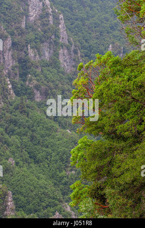 La splendida vista dal monte Olimpo e il Parco nazionale di circa Foto Stock