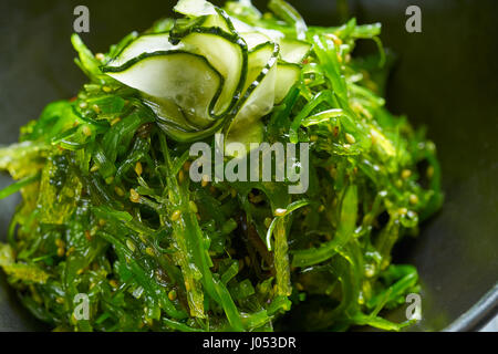 Le alghe con insalata di cetrioli di sesamo e di soia dettaglio macro Foto Stock