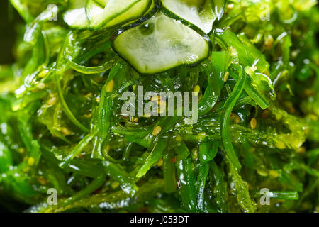 Le alghe con insalata di cetrioli di sesamo e di soia dettaglio macro Foto Stock