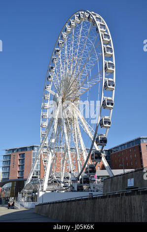 La ruota di Liverpool ruota panoramica sulla chiglia Wharf in Liverpool docklands Foto Stock