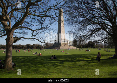 Il Wellington Memorial obelisco in Phoenix Park di Dublino, Irlanda. Foto Stock
