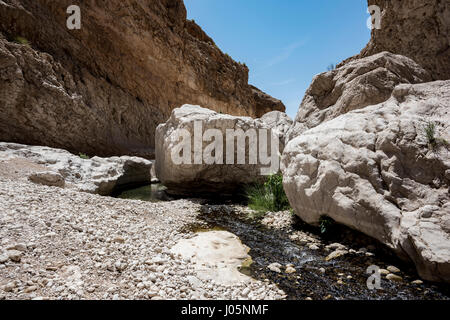 Grandi pietre sul fiume che attraversa il Canyon di Wadi Bani Khalid, Sultanato di Oman. Questo è uno dei più visitati luogo del paese Foto Stock