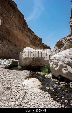 Grandi pietre sul fiume che attraversa il Canyon di Wadi Bani Khalid, Sultanato di Oman. Questo è uno dei più visitati luogo del paese Foto Stock